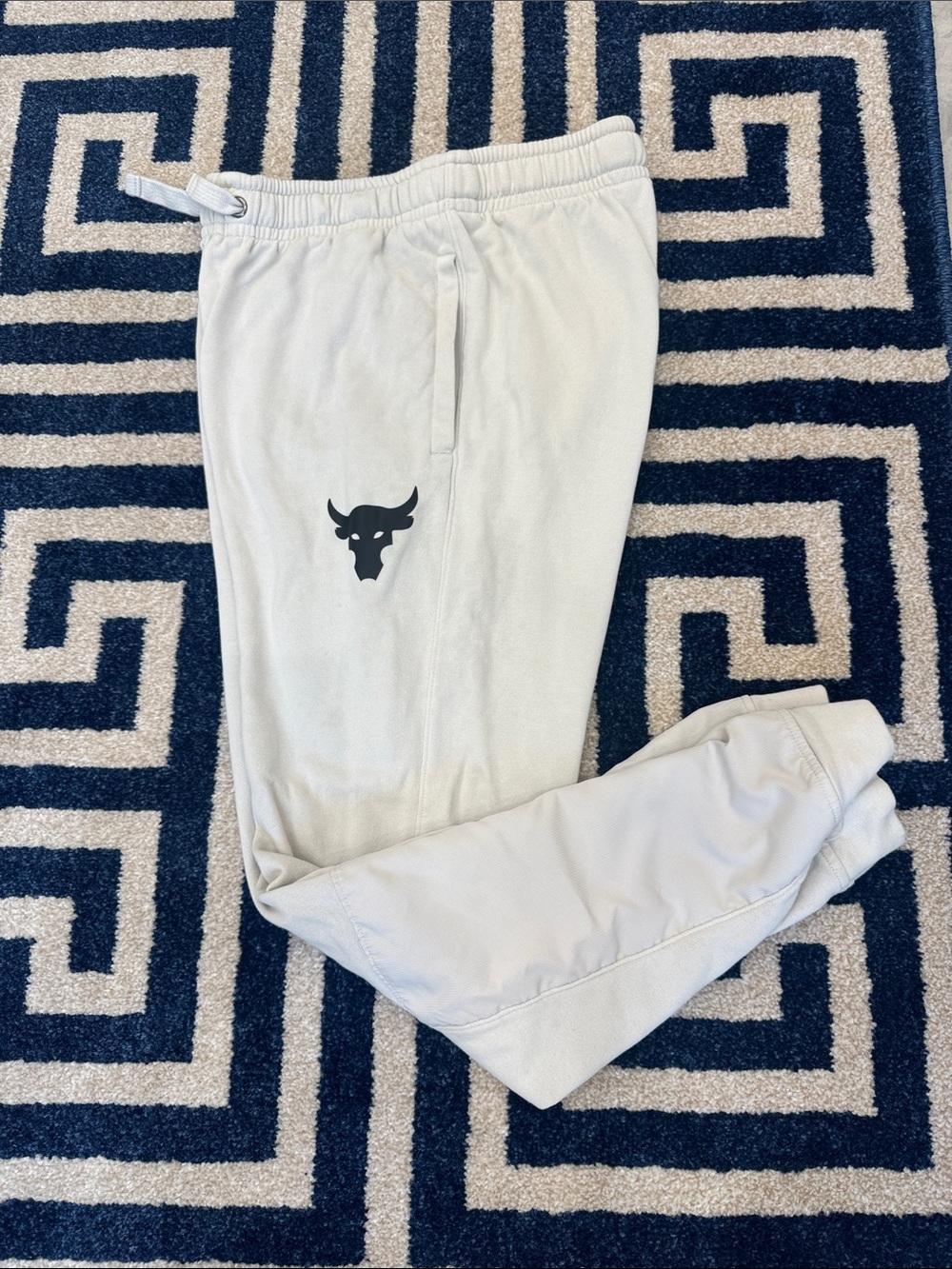 Under Armour Project Rock sweatpants